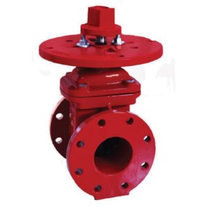 VCNRS300F300 Válvulas